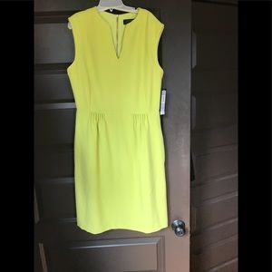 NWT dress